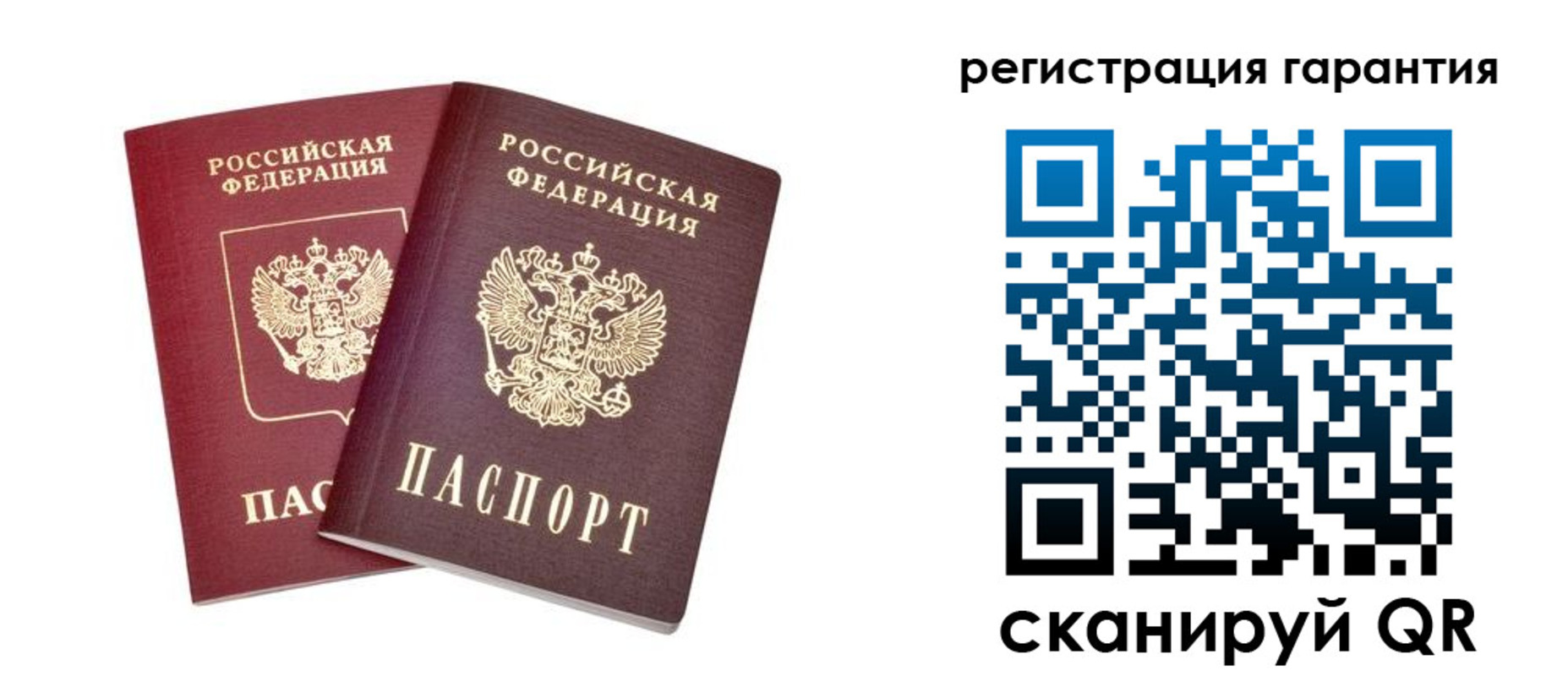 прописка регистрация в Курской области